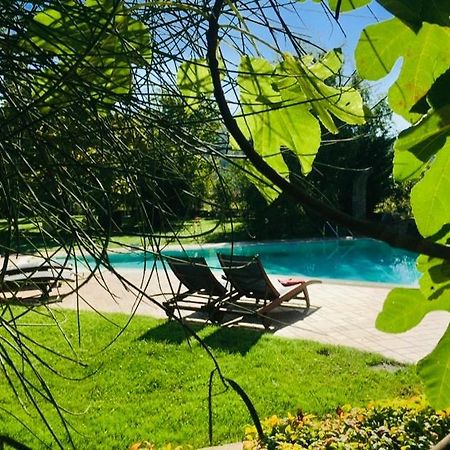 La Taverna Fra Le Colline Arezzo Exteriér fotografie